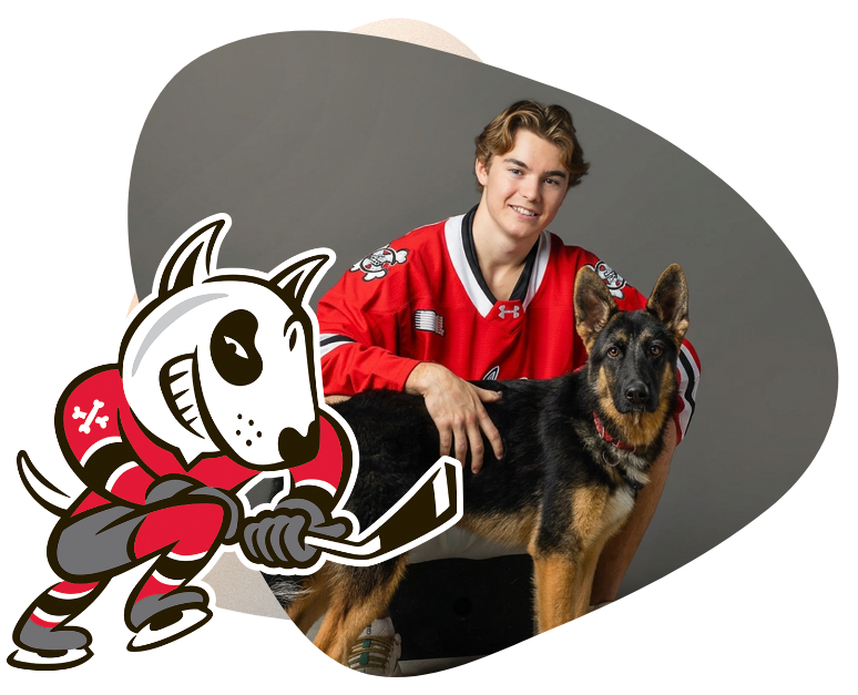 IceDogsHeader