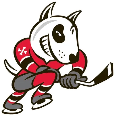 niagara-icedogs-logo