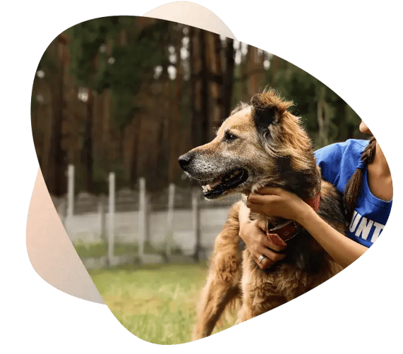 Plan A Corporate Volunteer Day