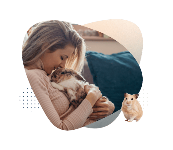 SmallAnimalSocialization