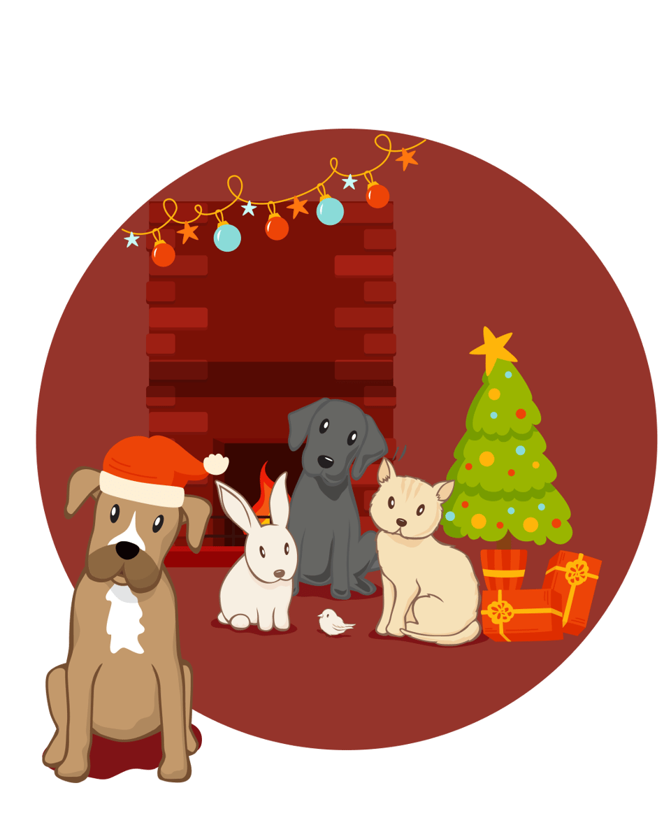 HSGN - Season Feedings for Pets