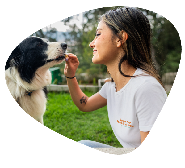 woman feeding dog