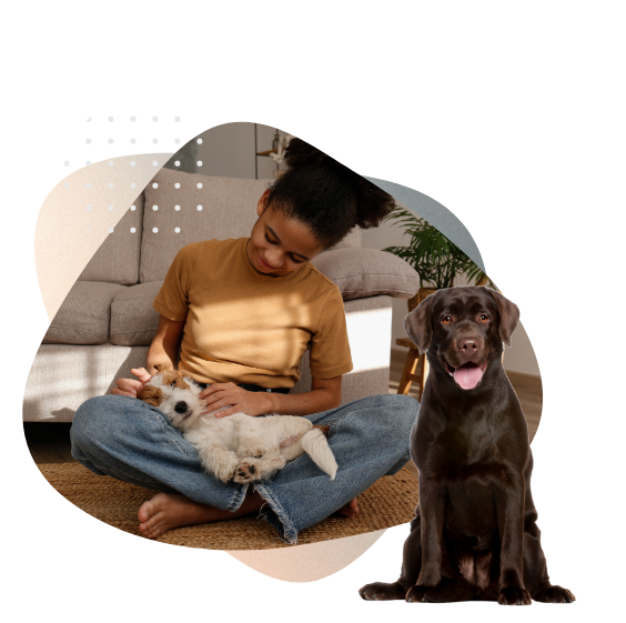 Dog Fostering