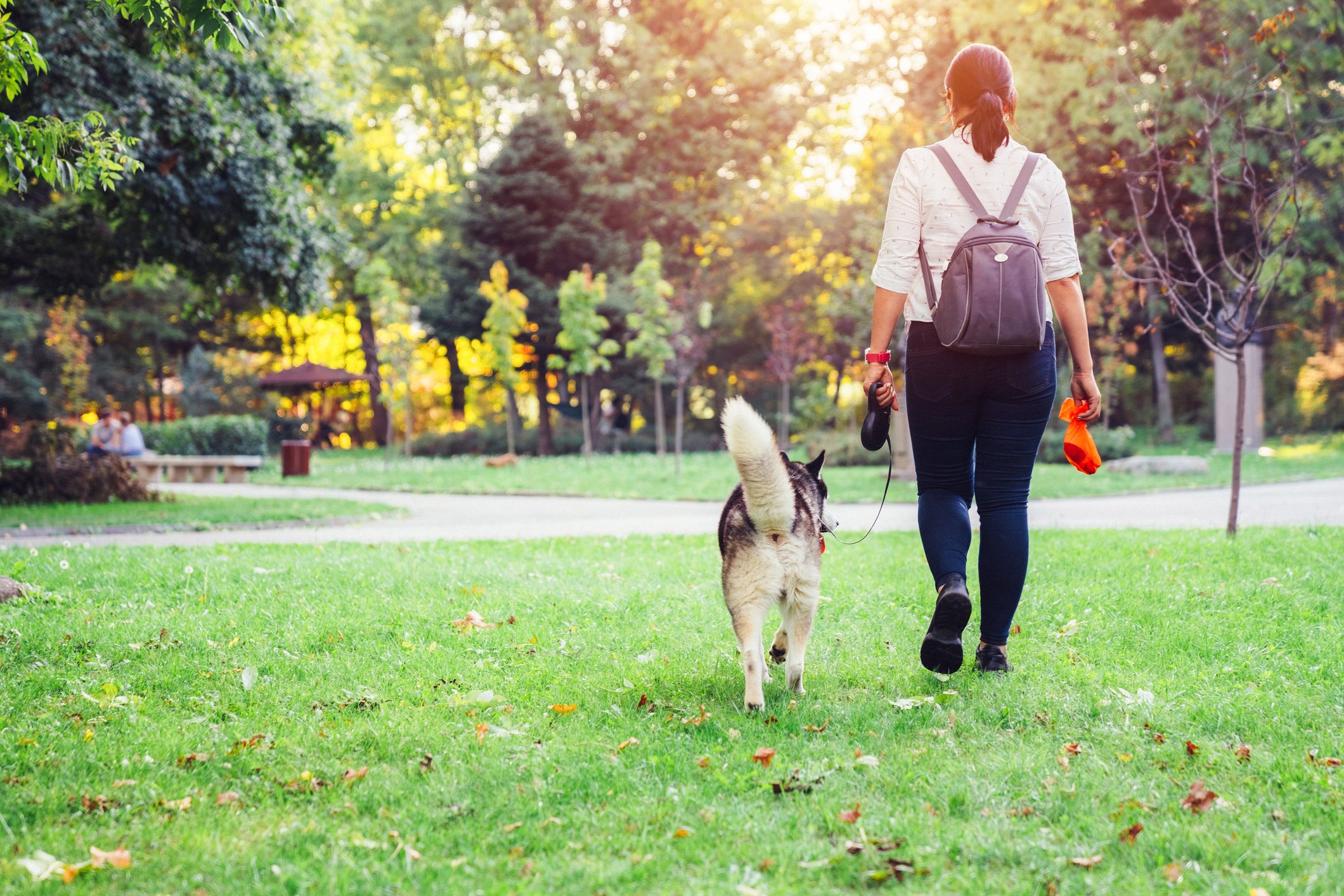 Owner walking dog in park