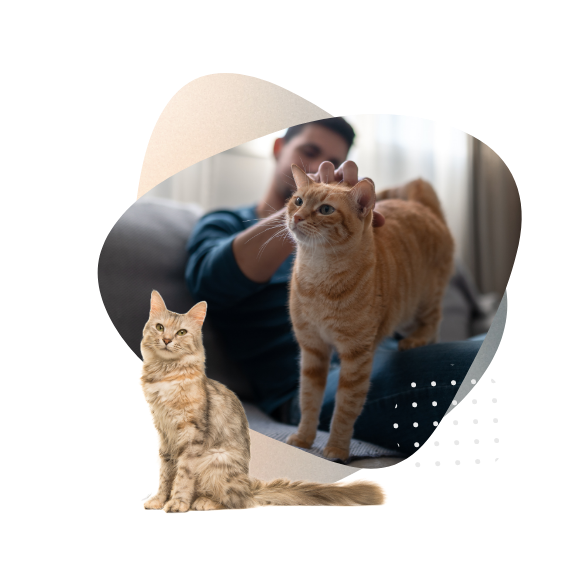 Queens and Kittens Volunteer