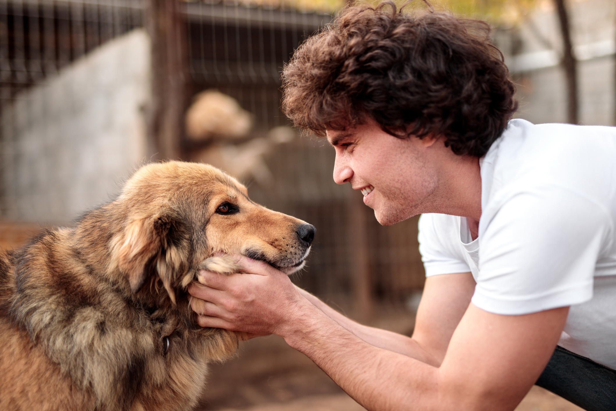 Volunteer petting dog at shelter