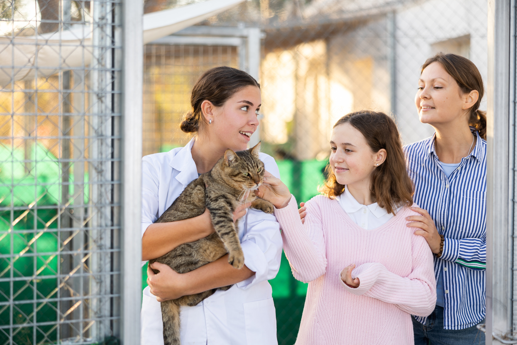 Female owner of animal shelter showing gray cat to mother and daughter
