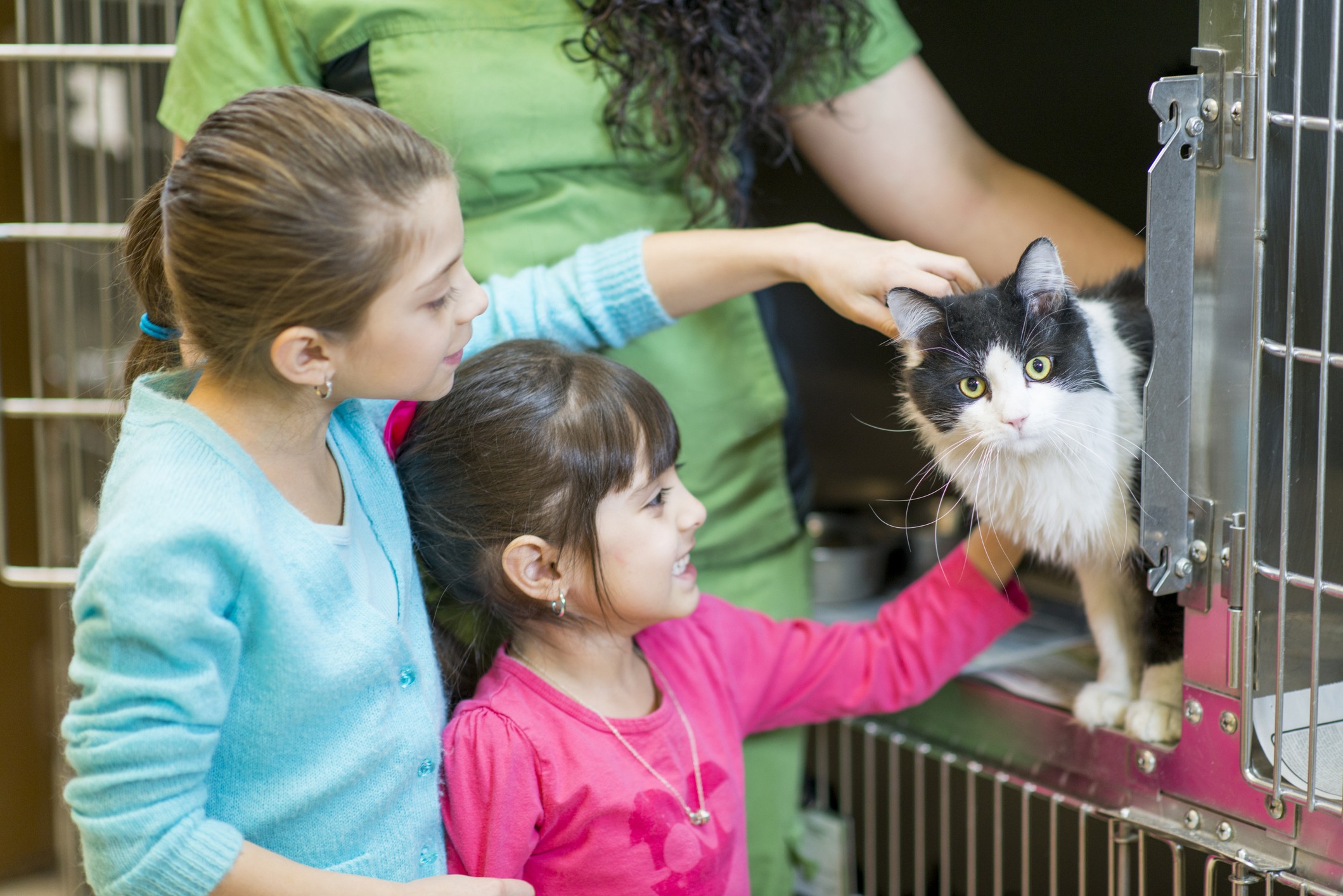 Two girls getting introduced to stray cat at Humane Society
