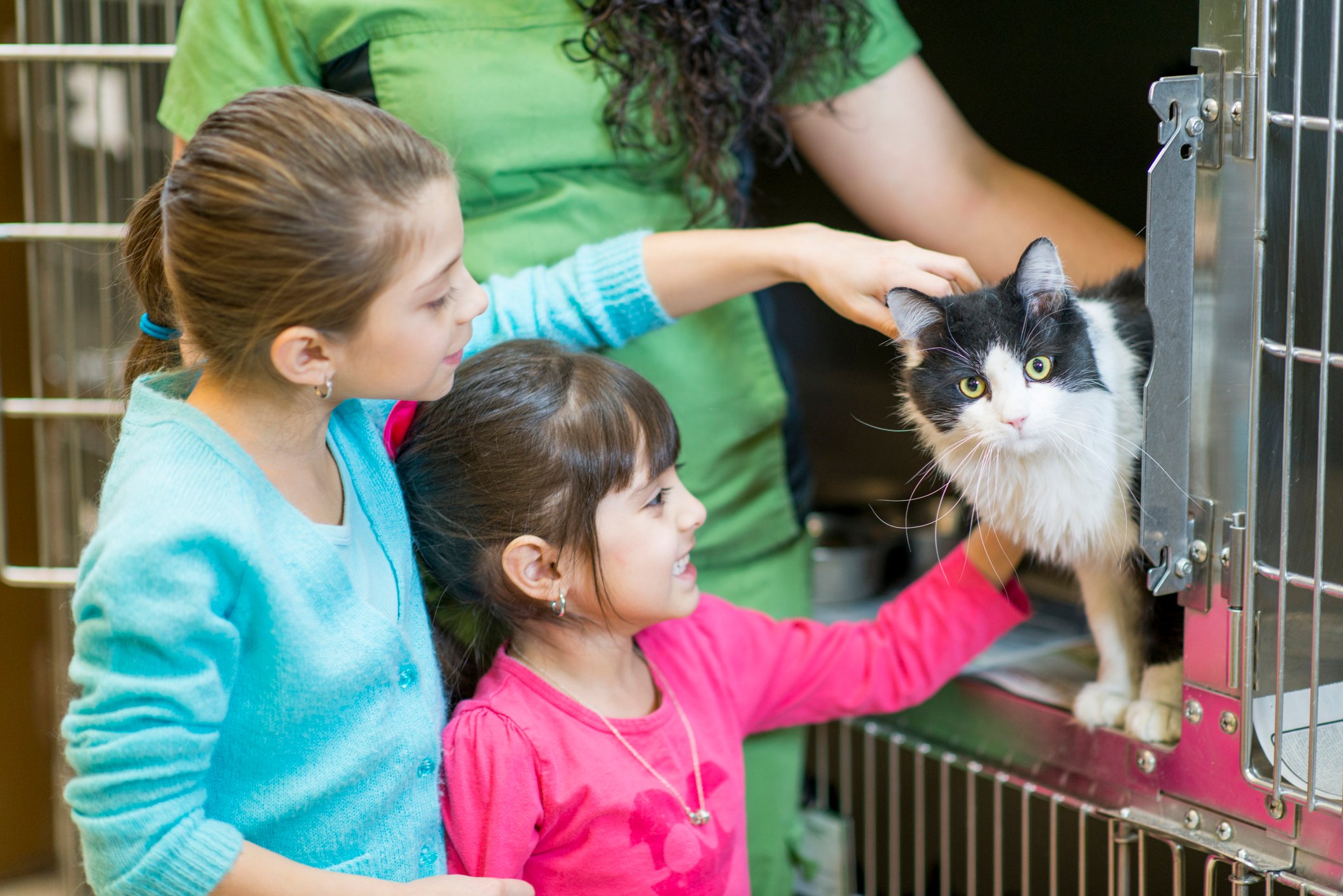 Two girls getting introduced to stray cat at Humane Society