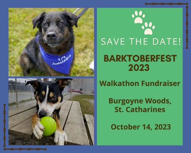 Barktoberfest 2023