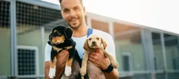 person olding dogs-1