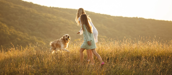 woman playing with dog in field
